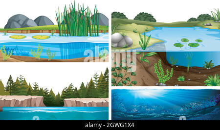 Ecosistemi acquatici con laghetto, lago, fiume Illustrazione Vettoriale