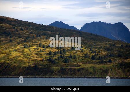 Paesaggio nel Kukat Bay Katmai National Park, Alaska, Stati Uniti Foto Stock