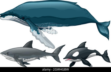 Diverso tipo di balena e squalo Illustrazione Vettoriale