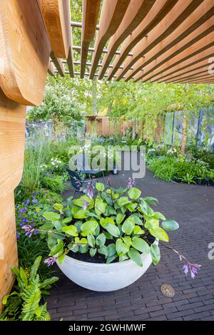 La medaglia d'argento vincitrice del Florence Nightingale Show Garden al RHS Chelsea Flower Show, Royal Hospital Chelsea, Londra SW3 nel settembre 2021 Foto Stock