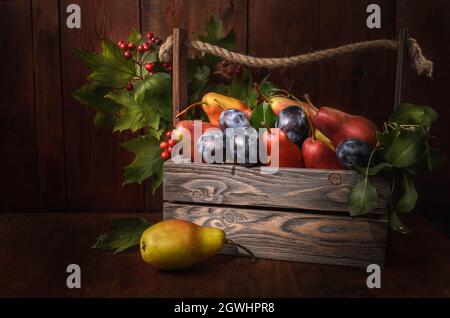 pere e prugne con un ramo di rosa selvaggia in una scatola di legno su sfondo di legno scuro in stile rustico Foto Stock