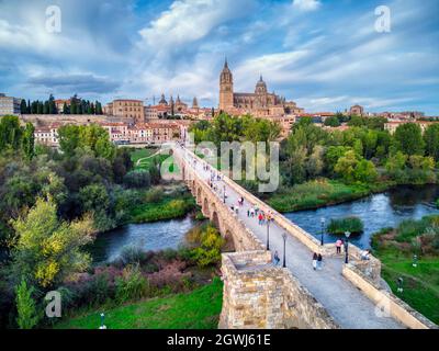 Vista aerea di Salamanca con la cattedrale sullo sfondo e il ponte romano in primo piano. Foto Stock