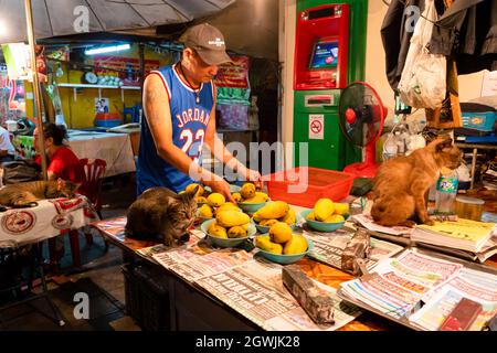 Il gatto siede sul tavolo vicino alle piastre con manghi. Bangkok, Thailandia- 02.06.2020 Foto Stock