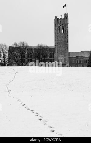 Western University in inverno Foto Stock