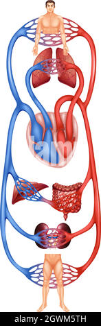 Circolazione Illustrazione Vettoriale