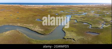 I canali stretti si snodano attraverso una palude di sale in Pleasant Bay, Cape Cod, Massachusetts. Questo habitat delle zone umide è un luogo di alimentazione vitale per la fauna selvatica. Foto Stock