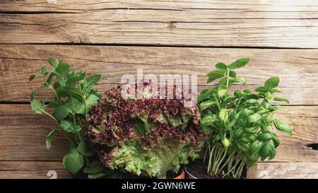 Giardinaggio e sano concetto di mangiare con erbe diverse e foglie di insalata su legno sfondo