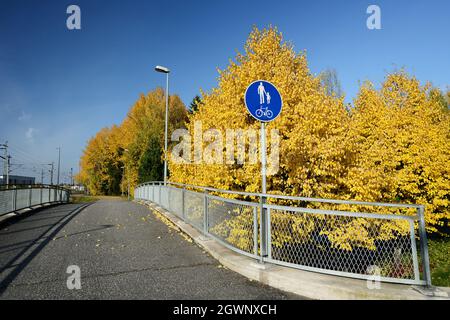 bicicletta e sentiero nel parco in autunno Foto Stock