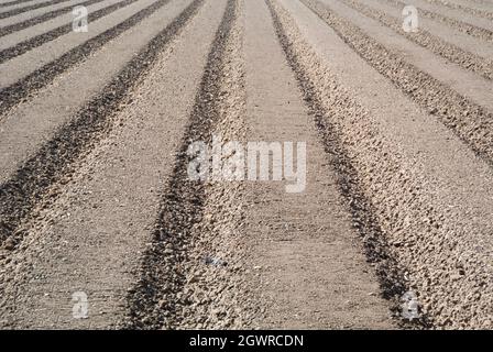 Farmland Foto Stock