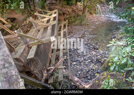 Ponte pedonale sul torrente, Trelissick Park, Wadestown, Wellington, North Island, Nuova Zelanda Foto Stock