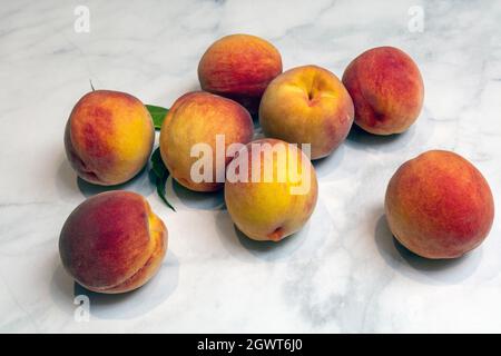 Pesche appena raccolte in mostra, Orchard, SW Michigan, USA, di James D Coppinger/Dembinsky Photo Assoc Foto Stock