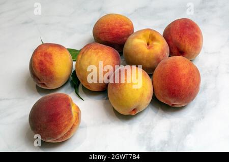 Pesche appena raccolte in mostra, Orchard, SW Michigan, USA, di James D Coppinger/Dembinsky Photo Assoc Foto Stock