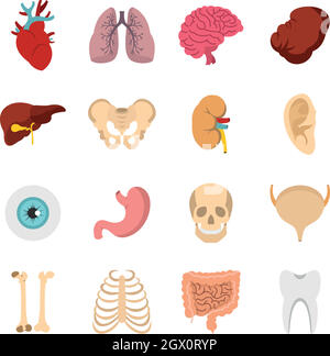 Gli organi umani set di icone di Piana Illustrazione Vettoriale