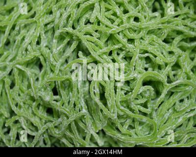 Fuoco selettivo di spaghetti crudi di uova di giada verde, sfondo di modello da spaghetti cinesi e farina Foto Stock