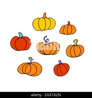 Set di zucche Doodle. Raccolta di diverse zucche isolate su sfondo bianco. Verdure di colore arancione disegnate a mano. Illustrazione della linea vettoriale per la confezione, Illustrazione Vettoriale