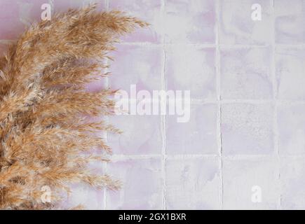 Flatlay di pampas erba su sfondo piastrella. Concetto minimo. Disposizione piatta, vista dall'alto, spazio di copia. Foto Stock
