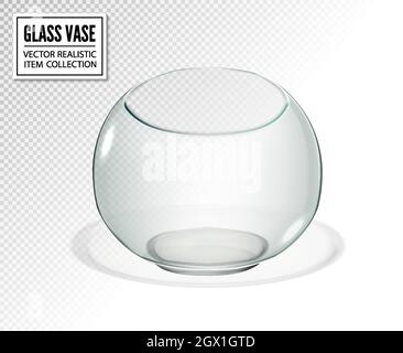Vaso rotondo o ciotola di pesce isolato su sfondo trasparente. Illustrazione 3D vettoriale realistica. Illustrazione Vettoriale