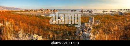 Ampia vista sulla costa del lago Mono all'alba all'inizio dell'autunno, Lee Vining, California, Stati Uniti. Foto Stock