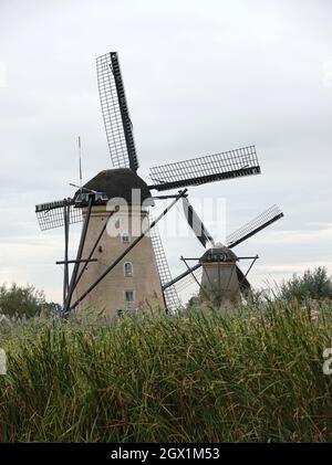 Due mulini a vento olandesi dal 1740 con la canna davanti a Kinderdijk. Sito patrimonio dell'umanità dell'UNESCO. Foto Stock