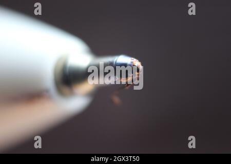 Scatto macro della punta della penna a sfera su sfondo grigio scuro. Foto Stock