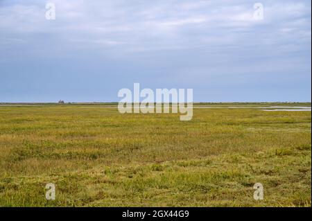 Vista di ampia portata sulla Riserva Naturale di Blakeney con la Casa di vigilanza di Blakeney all'orizzonte in lontananza. Norfolk, Inghilterra. Foto Stock