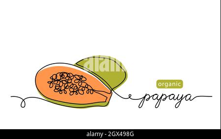 Papaya, sezione pawpaw con illustrazione vettoriale dei semi. Disegno artistico a una linea con scritta papaya organica Illustrazione Vettoriale