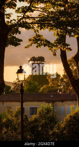 Tramonto a Lucca. Vista di Torre Guinigi, la più famosa torre medievale di Lucca, con un vecchio lampione da parco antiche mura Foto Stock