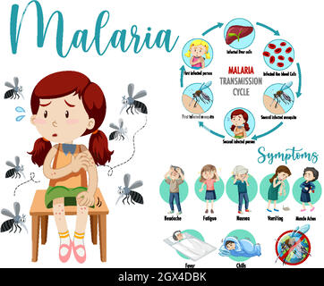 Infografica sul ciclo di trasmissione della malaria e sui sintomi Illustrazione Vettoriale