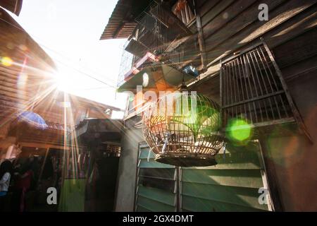 Raggi del sole che brillano attraverso una casa di legno e gabbia di uccelli al tramonto, lente astratta svasare. Stile di vita semplice a Narathiwat, Thailandia meridionale. Foto Stock