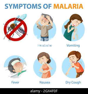 Infografica sui sintomi della malaria in stile cartoon Illustrazione Vettoriale