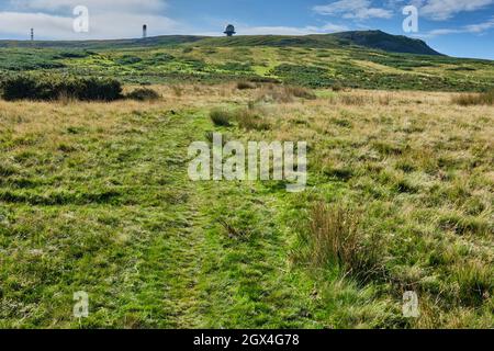 Guardando indietro fino alla cima di Titterstone Clee Hill, Shropshire Foto Stock