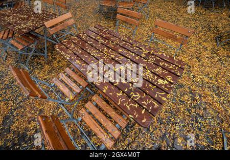 Stoccarda, Germania. 4 ottobre 2021. Le foglie giacciono sui mobili all'aperto di una struttura di ristorazione. Credit: Marijan Murat/dpa/Alamy Live News Foto Stock