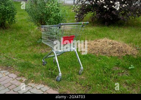 Un carrello di alimentari in metallo si trova abbandonato sul prato rasato tra gli arbusti fioriti in estate. Foto Stock