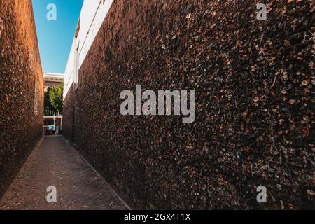 Bubblegum Alley, una stretta via pedonale a San Luis Obispo, CA dove le gomme masticate si accumulano sulle pareti, ora una famosa attrazione turistica Foto Stock