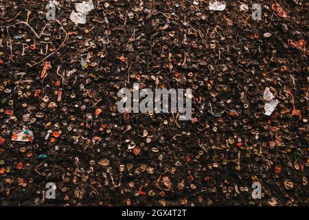 Bubblegum Alley, una stretta via pedonale a San Luis Obispo, CA dove le gomme masticate si accumulano sulle pareti, ora una famosa attrazione turistica Foto Stock