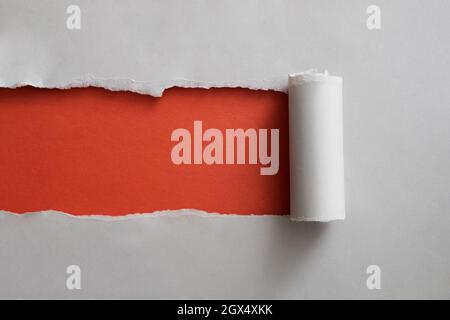 Banner rosso incorniciato da una striscia di carta grigia strappata arrotolata in modo ordinato per rivelare lo spazio di copia per il testo Foto Stock