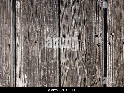 Vecchio sfondo di legno texture con unghie arrugginite. Particolare di porta rustica. Foto Stock