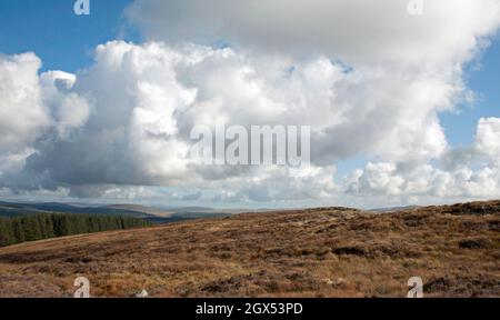 Vista attraverso la Big Water of Fleet Valley visto dalla cima delle cliniche di Dromore vicino Gatehouse of Fleet Dumfries e Galloway Scotand Foto Stock