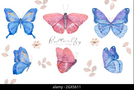 Acquerello colorato naturale con farfalla. Farfalle blu e rosa illustrazione isolata su sfondo bianco Foto Stock
