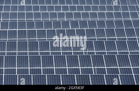 Pannelli fotovoltaici campo, energia solare sfondo centrale Foto Stock