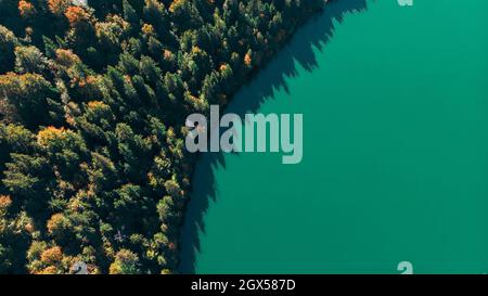 Vista aerea dall'alto verso il basso del drone della caduta sul lago vulcanico di Sant'Anna (Sfanta Ana). Foresta e acqua. Harghita, Romania, in autunno Foto Stock