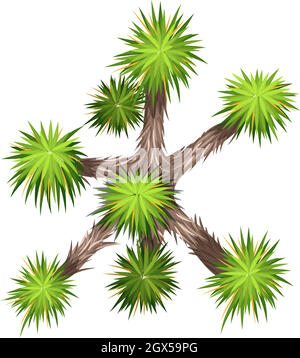 Yucca brevifolia Illustrazione Vettoriale