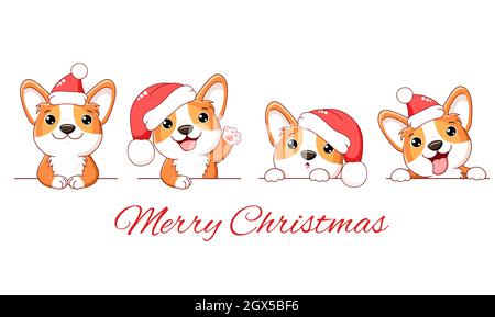 Set di Natale di carino corgi cane. Confina con il cucciolo di corgi gallese kawaii in cappelli di Santa. Xmas raccolta di cani con diverse emozioni - divertente, felice, s Illustrazione Vettoriale