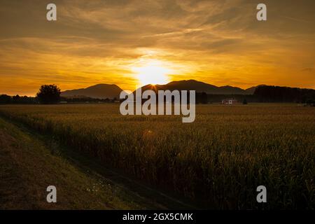 Bellissimo tramonto autunnale sui campi di mais i Toscana d'Italia Foto Stock