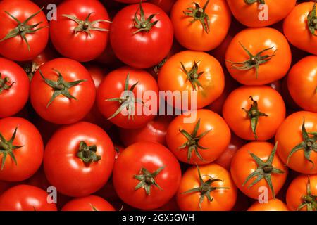 Primo piano di pomodori rossi e gialli freschi maturi. Sfondo alimentare. Vista dall'alto. Foto Stock