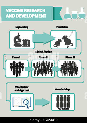 Infografica sulla ricerca e lo sviluppo dei vaccini Illustrazione Vettoriale