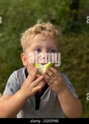 ragazzo in una maglietta grigia mangia una mela verde in giardino Foto Stock