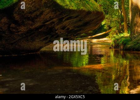 Il Dismals Canyon in Alabama è un luogo bellissimo da esplorare. Foto Stock