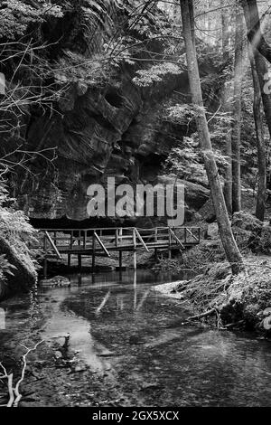 Il Dismals Canyon in Alabama è il luogo ideale per fare escursioni e rilassarsi. Foto Stock