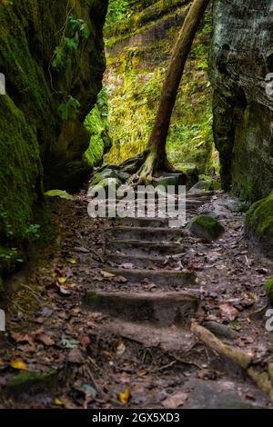 Il Dismals Canyon in Alabama è un luogo fantastico da esplorare. Foto Stock